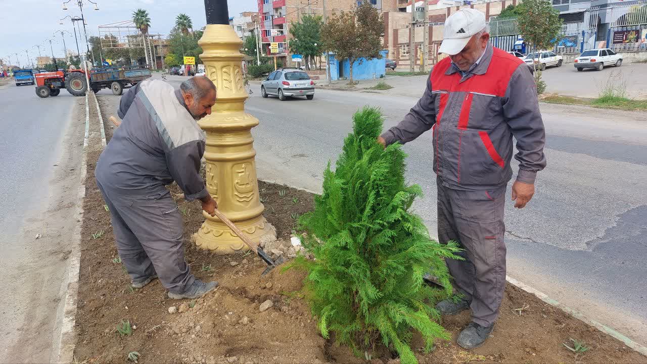 آغاز کاشت درخچه‌های یاس هلندی و کامیس در بلوار امام رضا(ع)