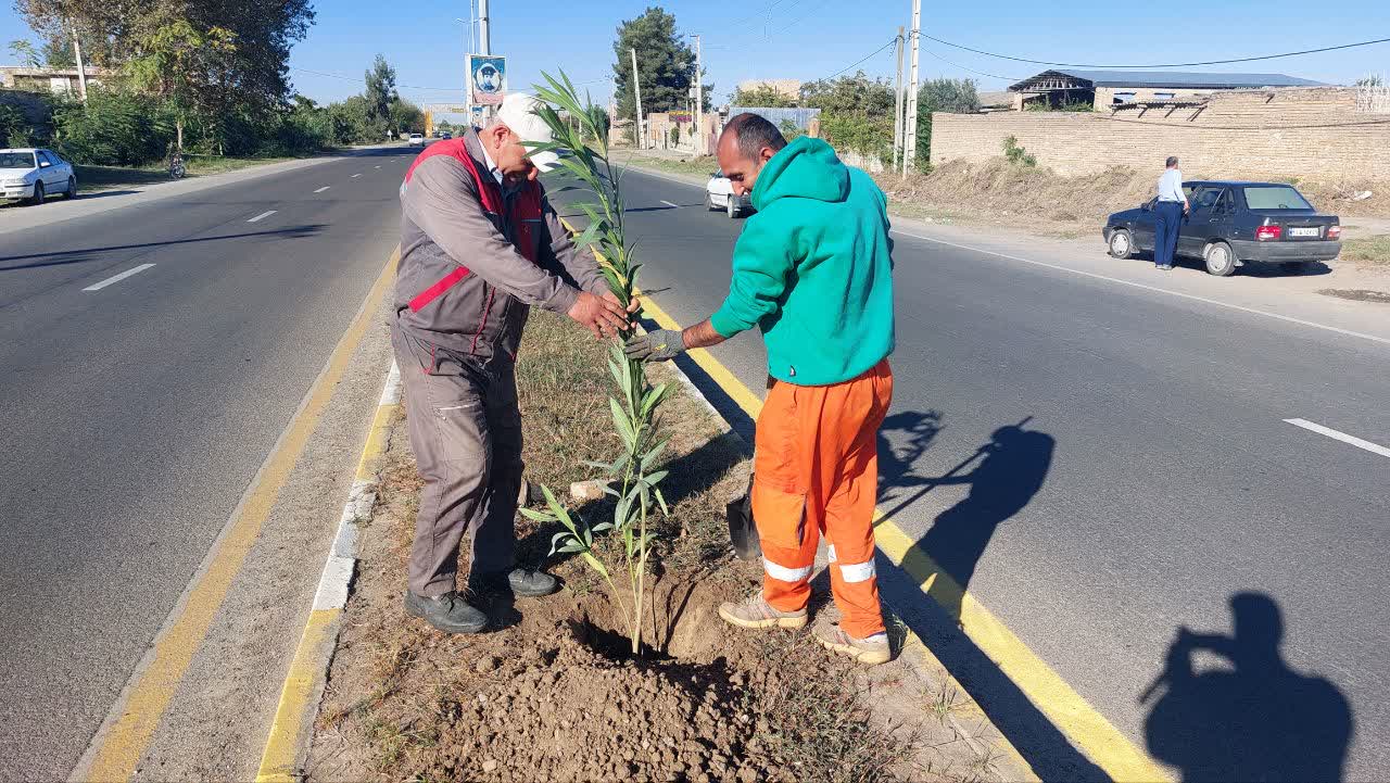 کاشت گل‌های خرزهره در مسیر بلوار گنبد با حضور مهندس یزدی شهردار مینودشت